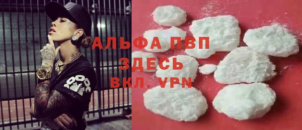 сатива Новодвинск