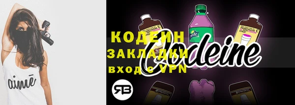 сатива Новодвинск