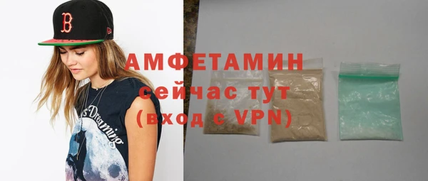 сатива Новодвинск