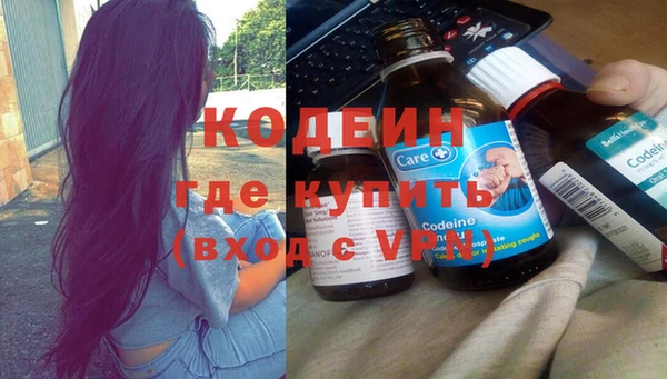 сатива Новодвинск