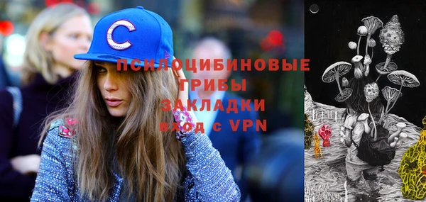 сатива Новодвинск