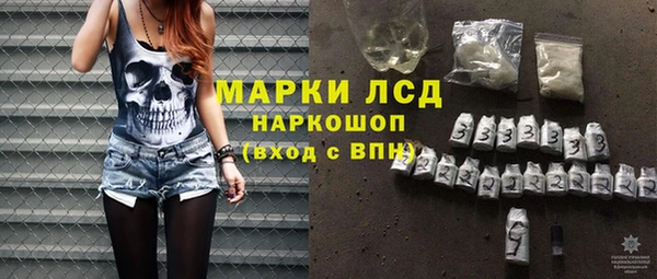 сатива Новодвинск