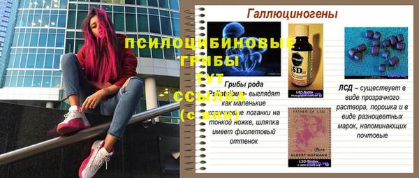 альфа пвп Новокубанск