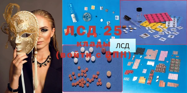 сатива Новодвинск