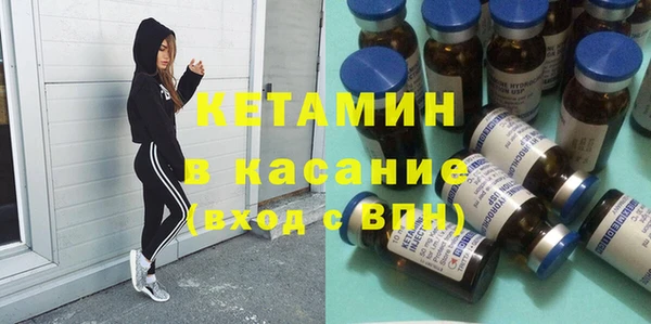 сатива Новодвинск