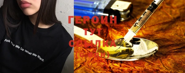 сатива Новодвинск