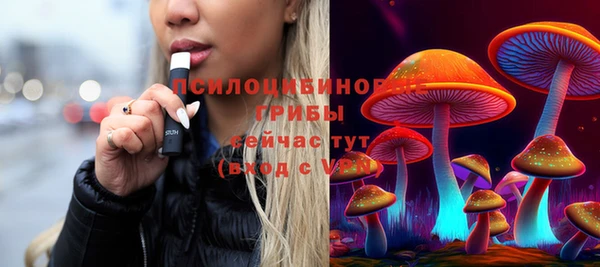 альфа пвп Новокубанск