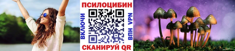Псилоцибиновые грибы GOLDEN TEACHER  Почеп 